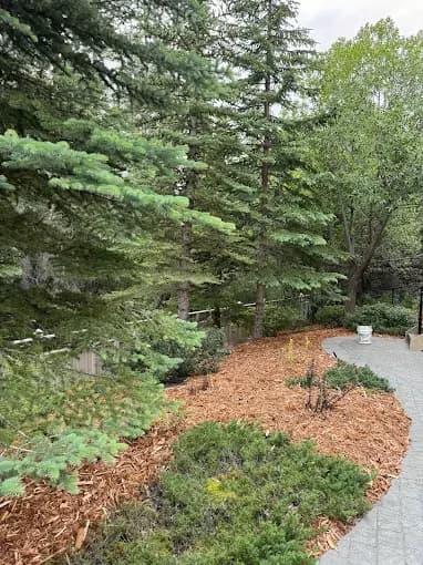 Cleanup in Calgary